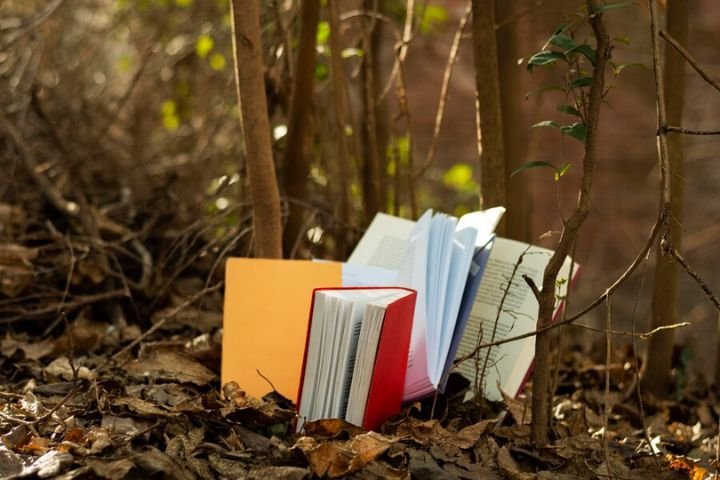 Literary Fiction